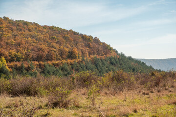 Asphalt road and bright autumn trees. Fairytale colorful autumn forest.Colorful leaves around the road