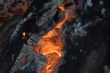 Fire inside a wooden log burning