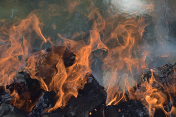 Fire in wooden logs in a bonfire