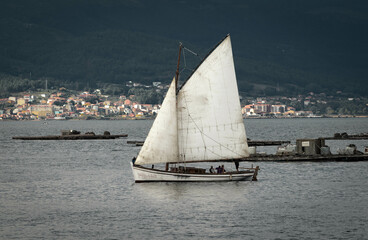 Sail Boat