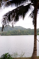 palm trees on the beach boat on the river or perahu di waduk sermo, yogyakarta, indonesia