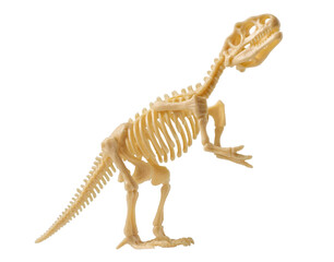 Dinosaur figurine. Skeleton of tyrannosaurus.