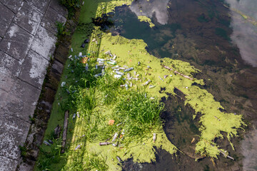 Landfill of household garbage garbage on the river bank. The problem of environmental pollution