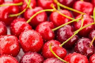 Red cherry close-up. Fresh cherries in water drops. Red berries for diet food