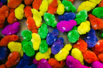 Colorful chickens on the Indonesian market.
