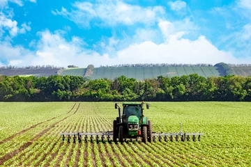 Fototapeten Grüner Traktor, der an einem sonnigen Sommertag den Boden auf einem Feld pflügt © Pyroll