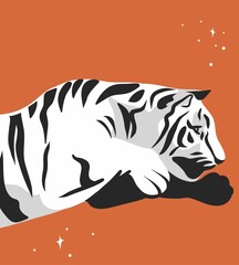 Hand drawn vector abstract graphic cartoon illustration with beauty cute celestial trendy wildlife white,cute moon tiger,moon and stars isolated on color background.Magic Boho clipart elements.