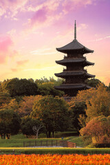 美しい秋の田園風景｜備中国分寺の夕景