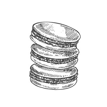 Hand drawn vector french macaroon vintage illustration