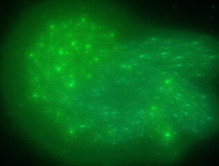 Imaginatory fractal abstract background Image