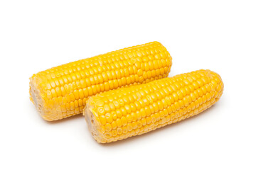 Two ripe sweet corn isolated on white background. Healthy vegan eating concept. Fresh vegetable ingredients. Organic food.