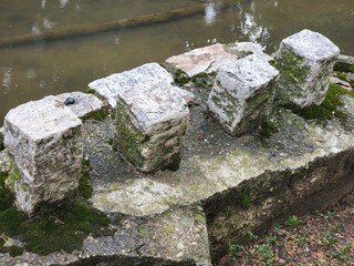 Mossy Rock Stone Closeup