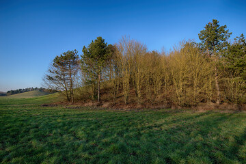 Le parc urbain du Rondeau à Courcouronnes en hiver