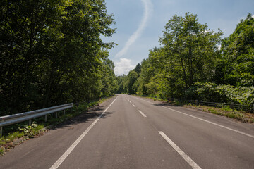 緑に囲まれた道路と青空
