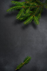 Vertical Dark Background with Fir Branches. Christmas Theme. Picture for Cover, Postcards