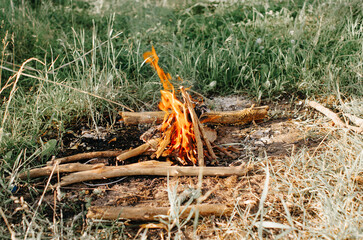 Outdoor picnic bonfire, hot flame burning firewood in forest outdoors. Close-up campfire