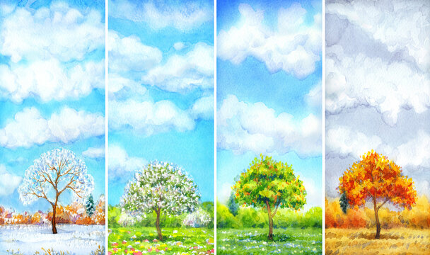 Watercolor landscape of series "Tree in different seasons"