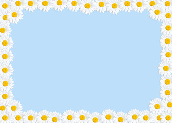 Daisies frame background with copy space