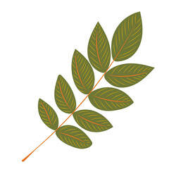 green leaf in flat design set isolated