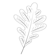 doodle tree leaf sketch on white background, isolated