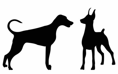 dogs silhouette on white background, isolated, vector