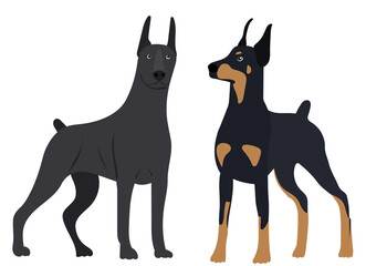dogs in flat design, isolated vector
