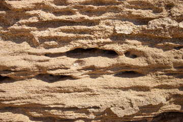 Textura de roca o piedra caliza