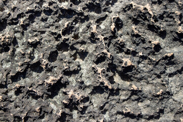 Textura de roca o piedra caliza