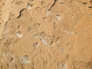 Textura de roca o piedra caliza