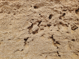 Textura de roca o piedra caliza