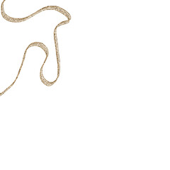 Isolated transparent background png gold element for graphic design
