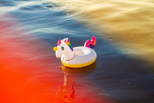 rainbow inflatable circle unicorn floats on multicolored water