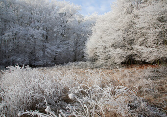 Kalter Morgen im Winter