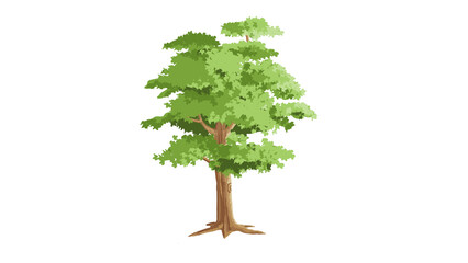 Tree with transparent background