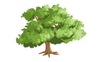 Tree with transparent background