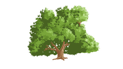 Tree with transparent background
