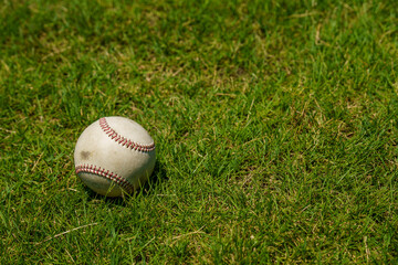 球場内に転がる硬式野球ボール