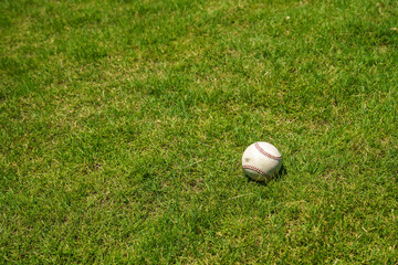 球場内に転がる硬式野球ボール