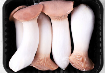 King oyster mushrooms, eringi, in a container. Top view