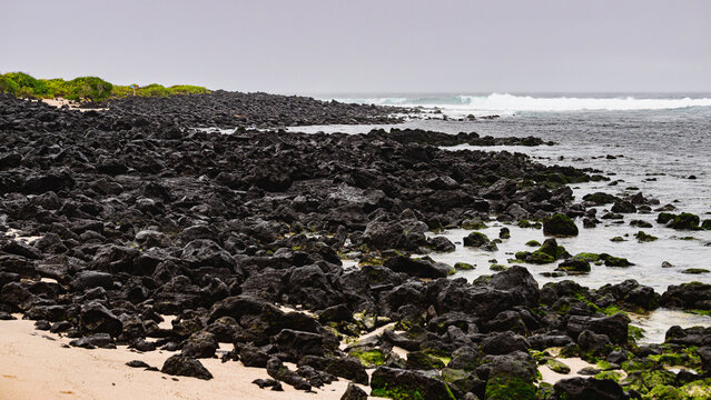 Beach with lava rocks, La Loberia, Galápagos