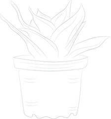 Isolated tree rose flower hand drawing line art with leaves