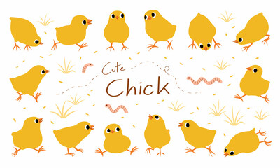 hand drawn vector illustration set of cute chick.