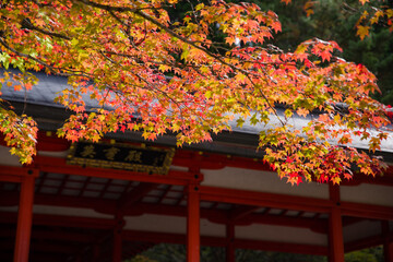 高野山の秋風景