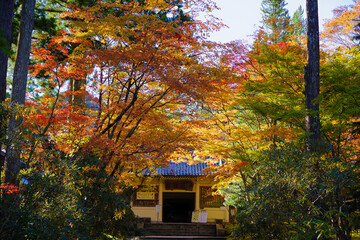 高野山の秋風景