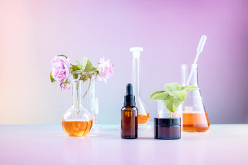 bottles for cosmetics, laboratory beakers, rosehip flower and mint leaves on a gradient background. the concept of natural cosmetics