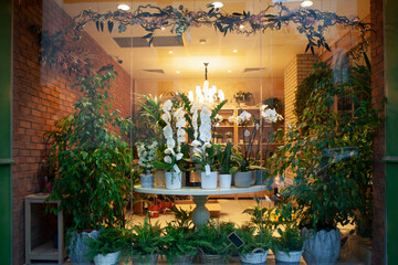 Fototapeta na wymiar Florist shop window. Beautiful decoration of luxurious flowers, interior items, lighting. Showcase window with white orchids in pots, ferns in baskets, decorative trees. Exquisite stage photo