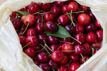 Cherries with leaf on the table after collection from the tree.