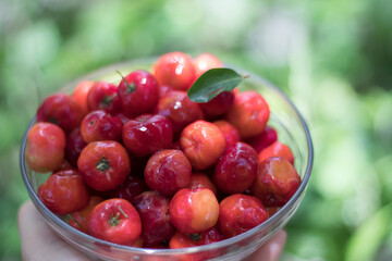 Naklejka na ściany i meble Acerola cherry or Thai cherry in a glass cup photo shoot.