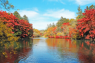 雲場池の紅葉　軽井沢