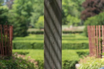 under the hanging garden at the park